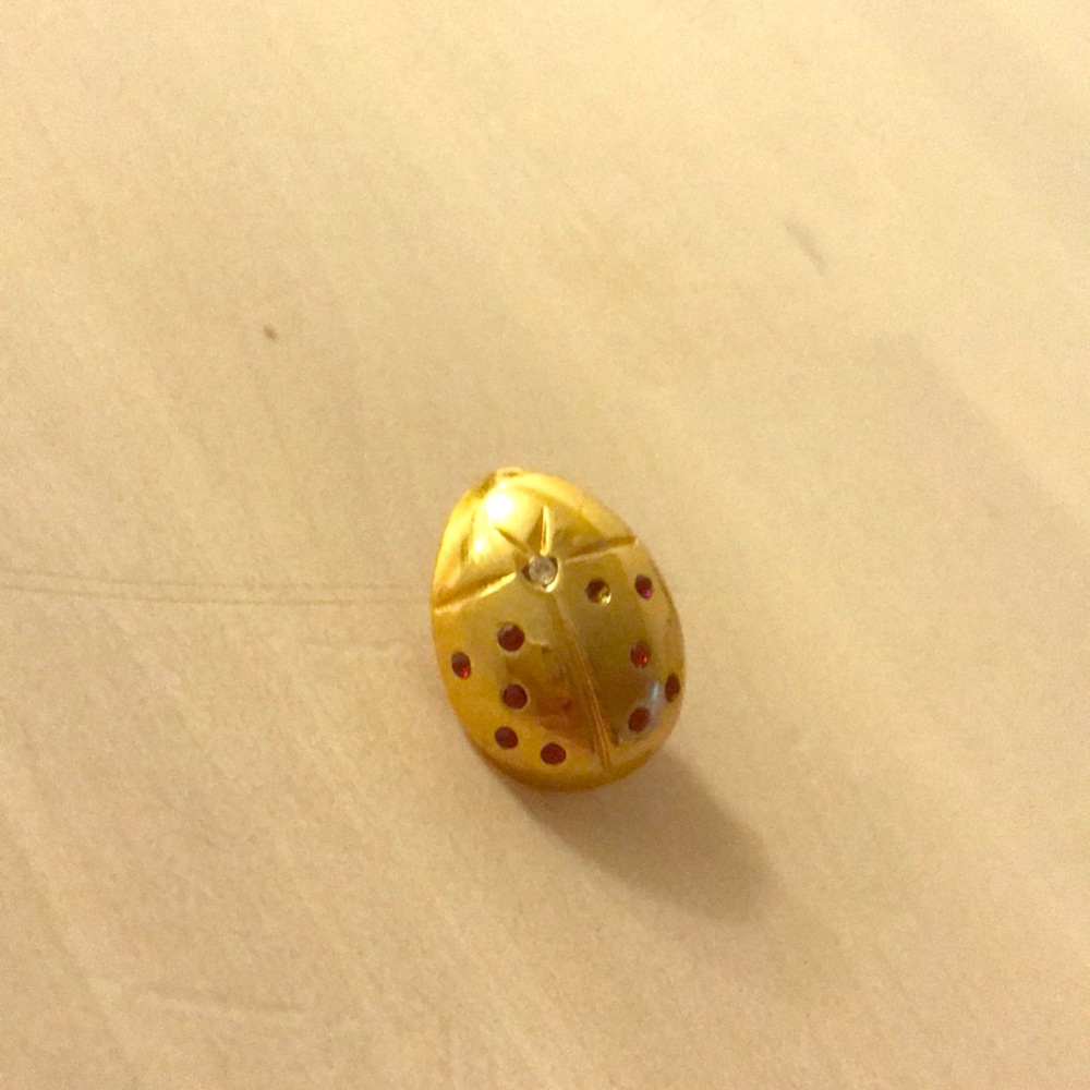 Sonia Rykiel Ladybug Pin